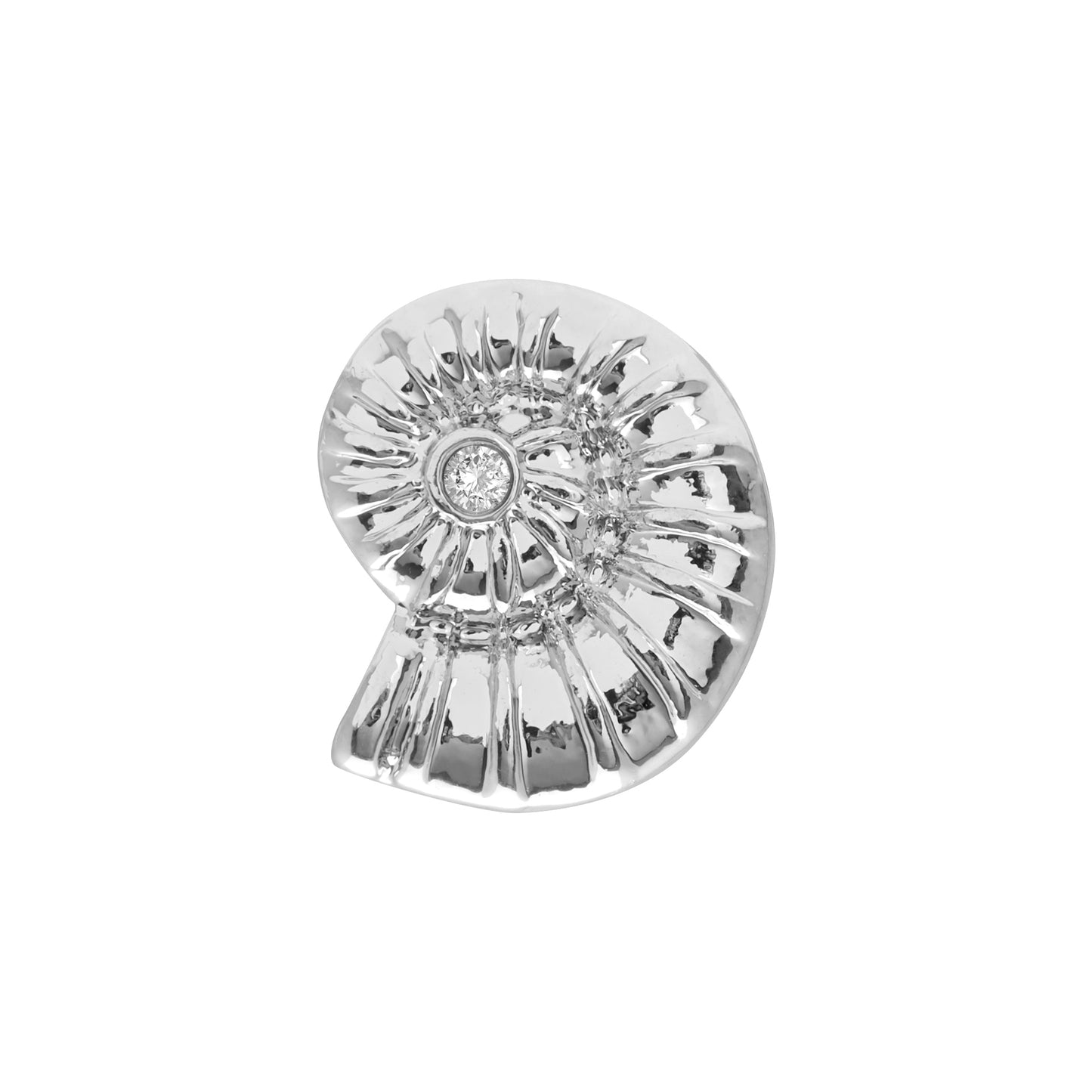 Round Shell Charm